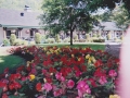 clubhouse 4