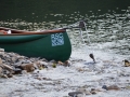 Boat 14