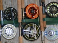 Fishing 24