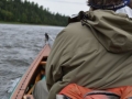 Boat 9