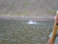 Fishing 7