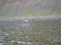 Fishing 8