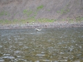 Fishing 9