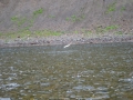 Fishing 10