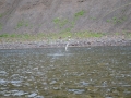 Fishing 11