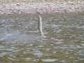 Fishing 14