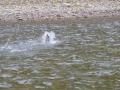 Fishing 16
