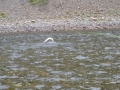 Fishing 19