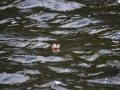 Fishing 21