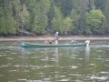 adBoat 10