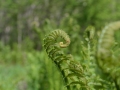 agNature 3