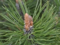 agNature 1