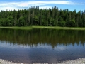 Pine Island (3)