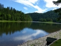 Pine Island (4)