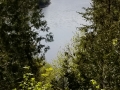 Pine Island (9)