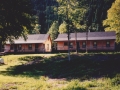 agPI 36